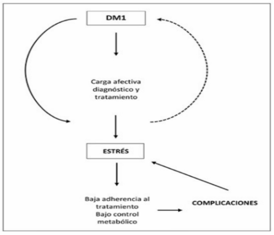 Figura 4. Relación bidireccional entre diabetes (DM1)
y estrés.