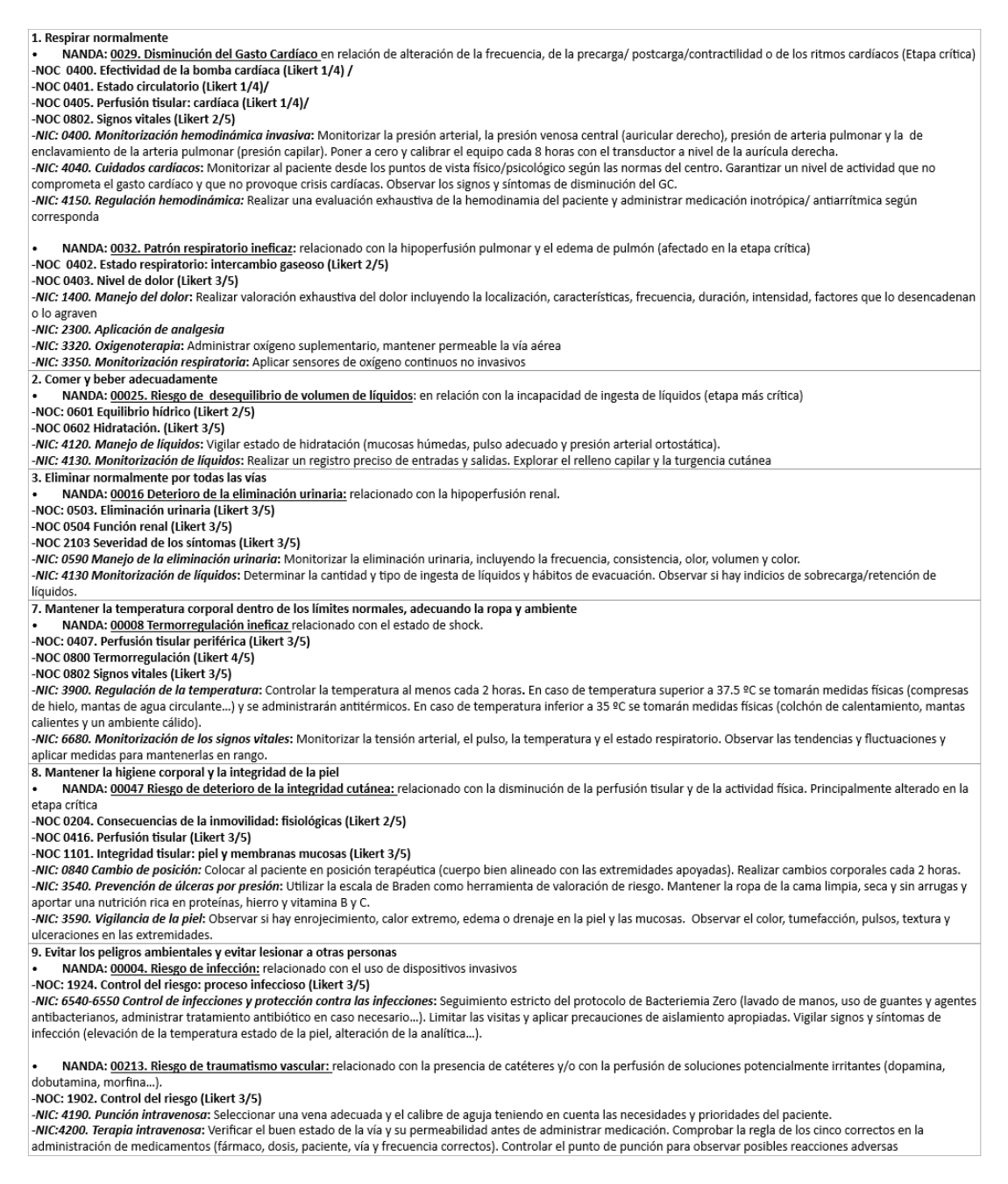 Plan de Cuidados primeras 24 horas IMPELLA CP