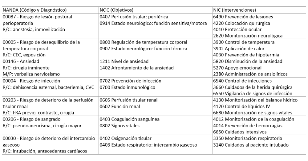Plan de cuidados de enfermería