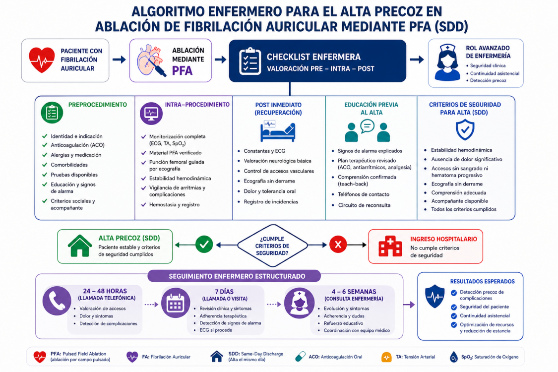 ALGORITMO DECISION